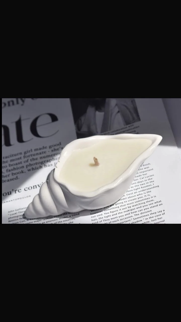Sea shell candle and organiser for accessories