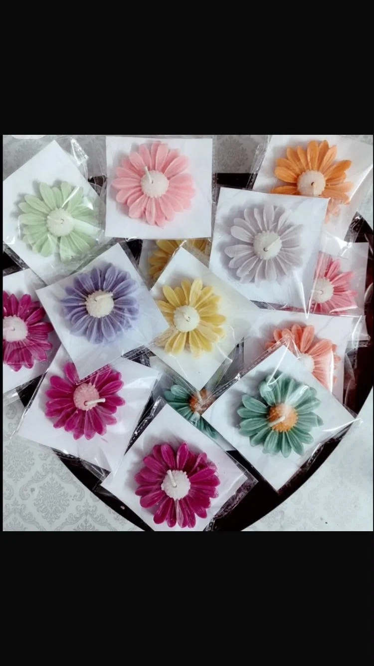 Daisy flowers